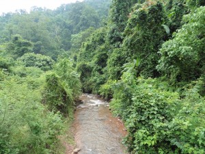 Nam Ha National Bio-Diversity Area