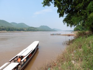 Der Mekong