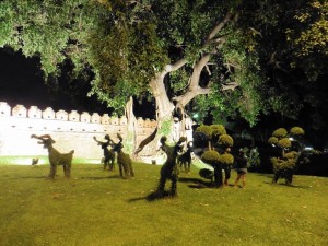 Tree Art