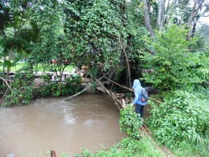 Bambusbrücke / Bamboo Bridge