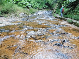 Weg zum Wasserfall / path to the waterfall