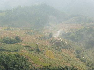 Reisterrassen / Rice Terraces