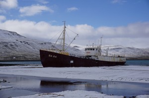 Gestrandetes Schiff / beached ship