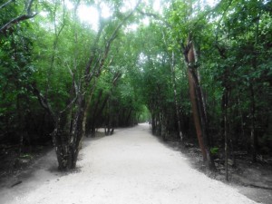 Ruinen von Coba / Ruins of Coba