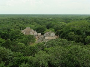 Blick auf den Dschungel / View on the djungle