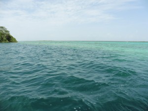 Black Cenote