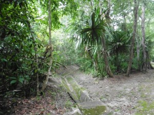 Bewässerungssystem der Mayas / Mayan watering system 