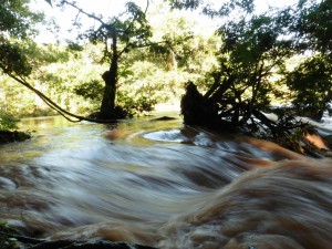 Cascada Agua Azul