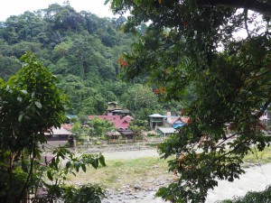Bukit Lawang