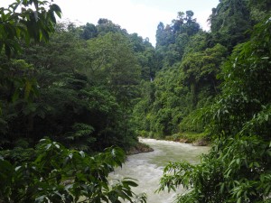 Bahorok River