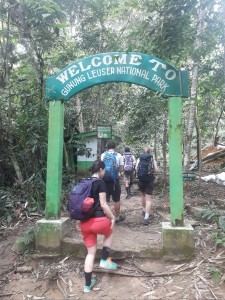 Eingang zum Gunung Leuser NP