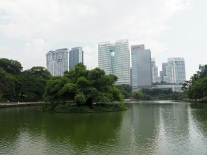 Die Skyline vom botanischen Garten