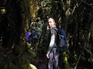 Rein in den Mossy Forest
