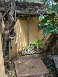 Eco Lodge in Kilifii