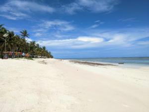 Strand in Diani / Beach in Diani