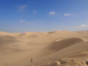 Mit Sandboard bewaffnet in die Dünen