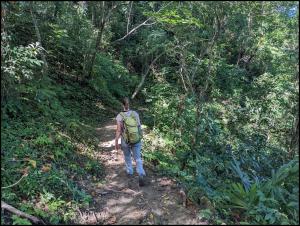 Erstmal geht's ab durch den Dschungel / First through the jungle