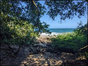 Am zweiten Tag gehts zu den anderen Stränden / the second day, we visit the other beaches