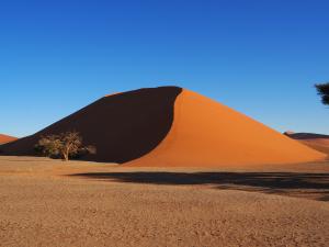 Dune 45