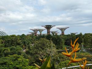 Die "Gardens of the Bay"